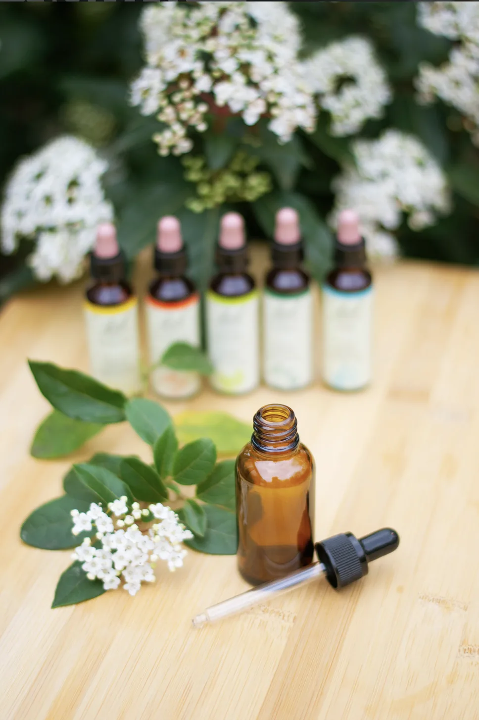 Bachblüten-Fläschchen mit Pipette